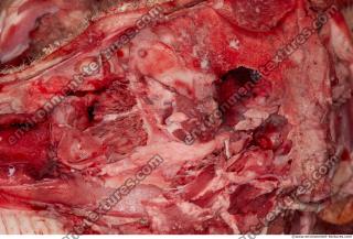 RAW meat pork 0021